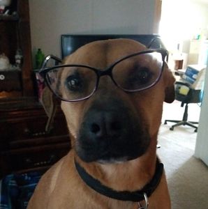 Meet your Posher, Jackie